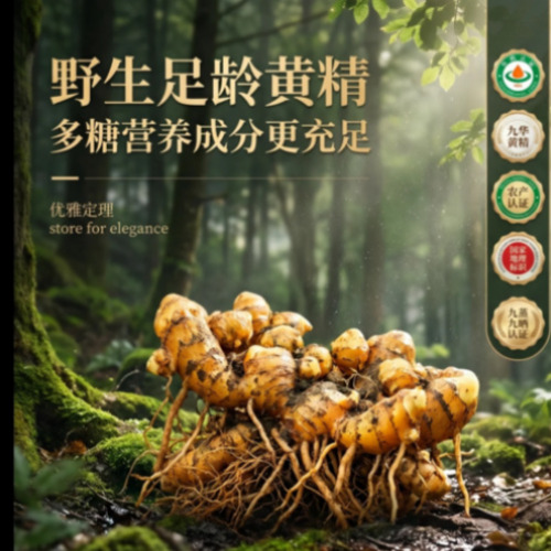 宣传图展示